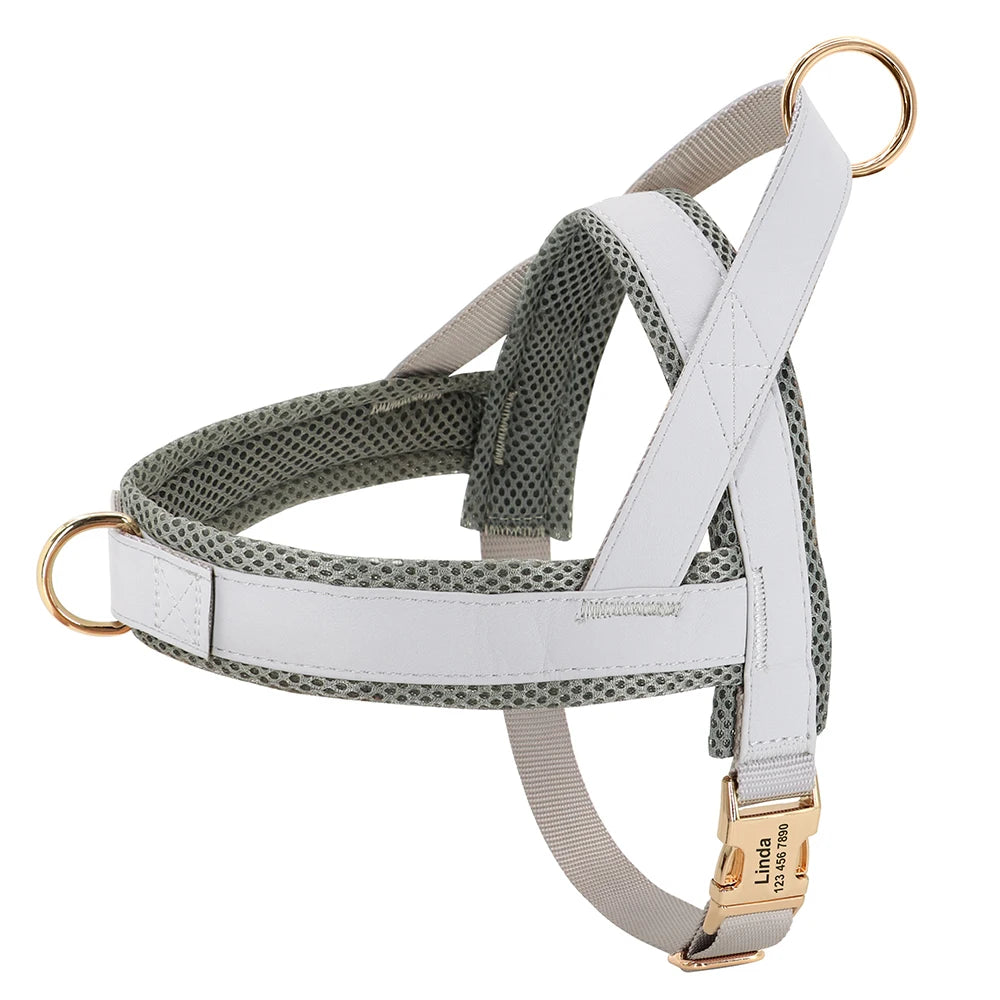 Personalized No-Pull Dog Harness with Name