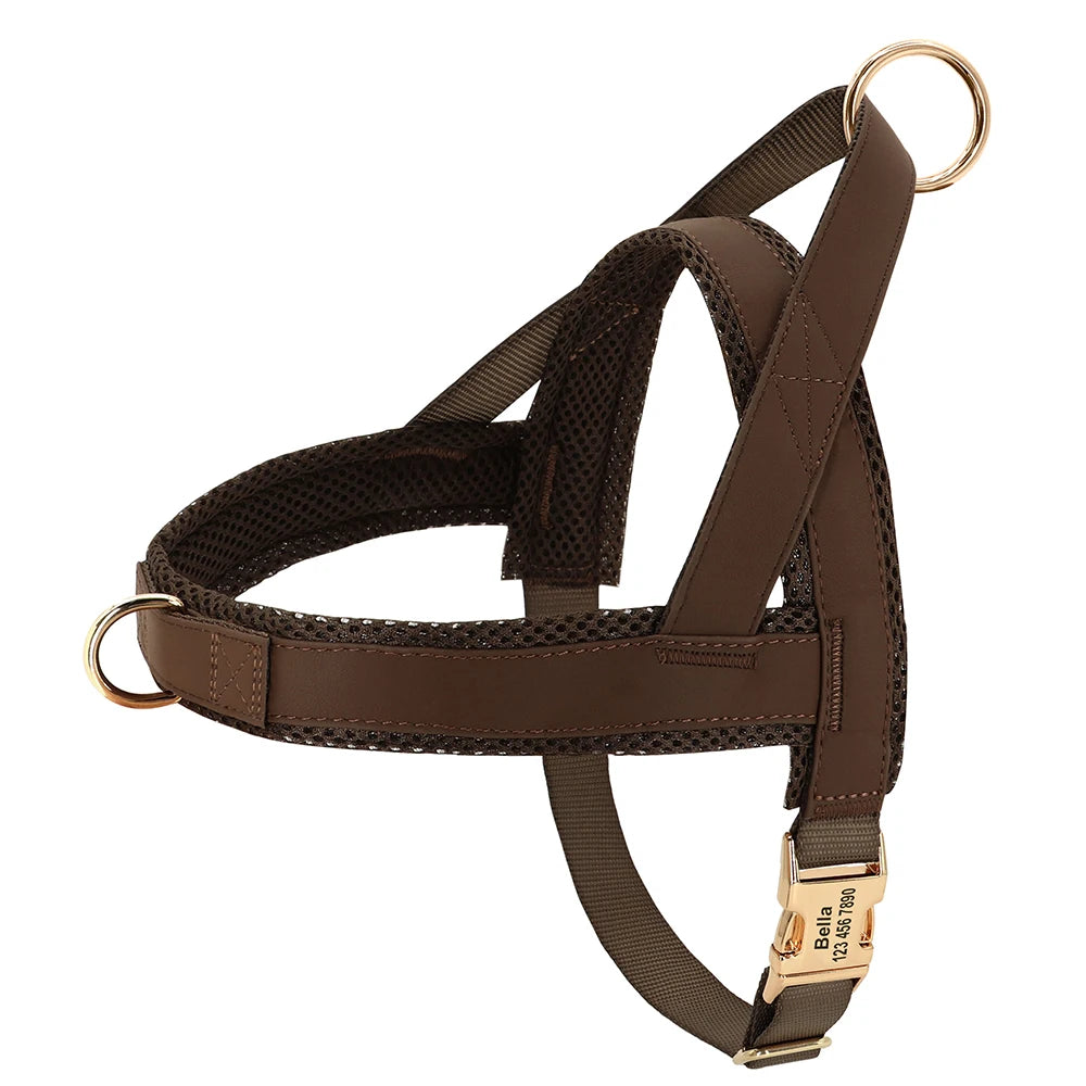 Personalized No-Pull Dog Harness with Name