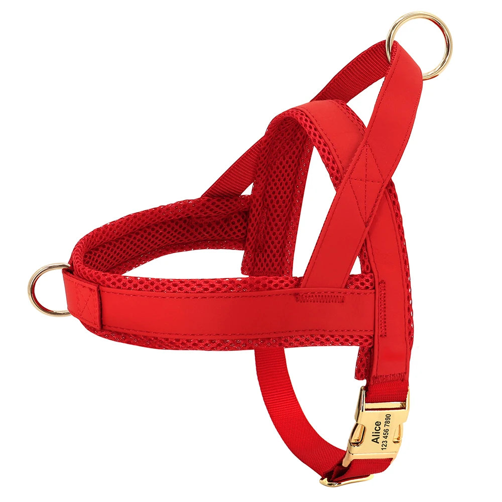 Personalized No-Pull Dog Harness with Name