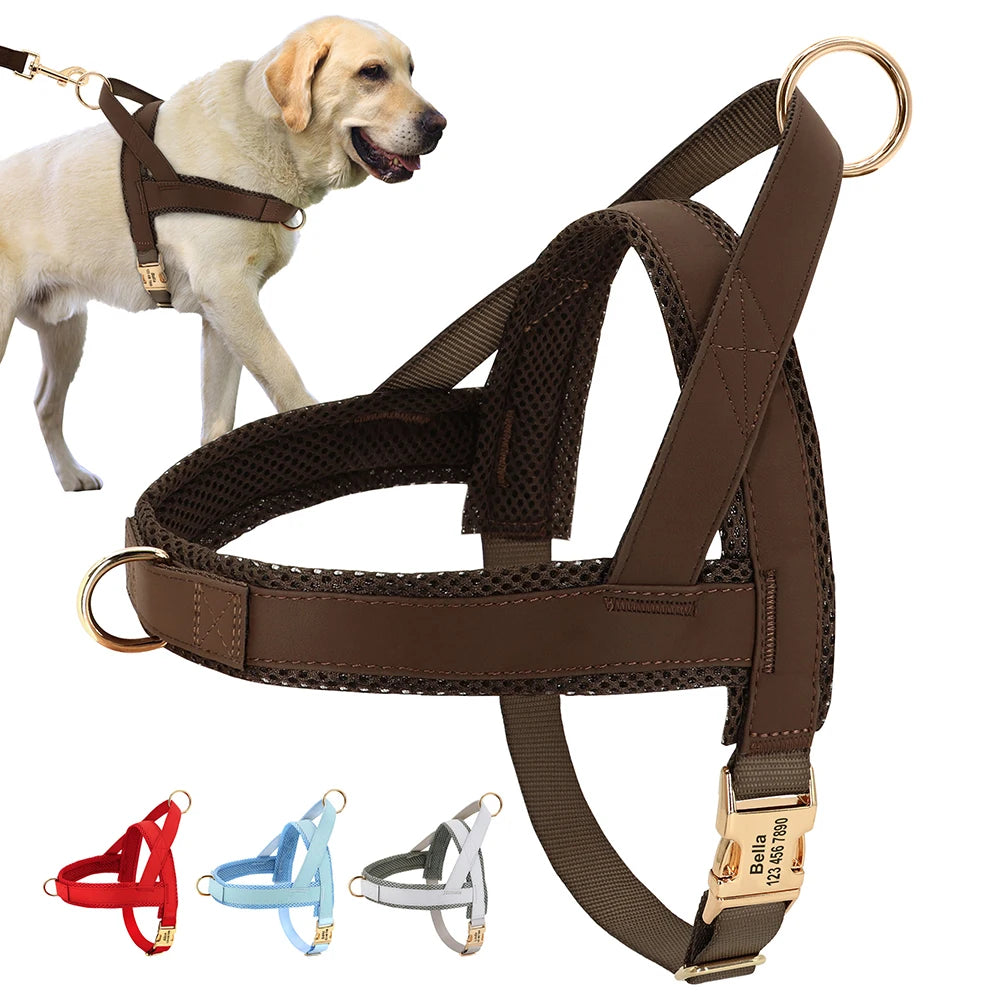 Personalized No-Pull Dog Harness with Name