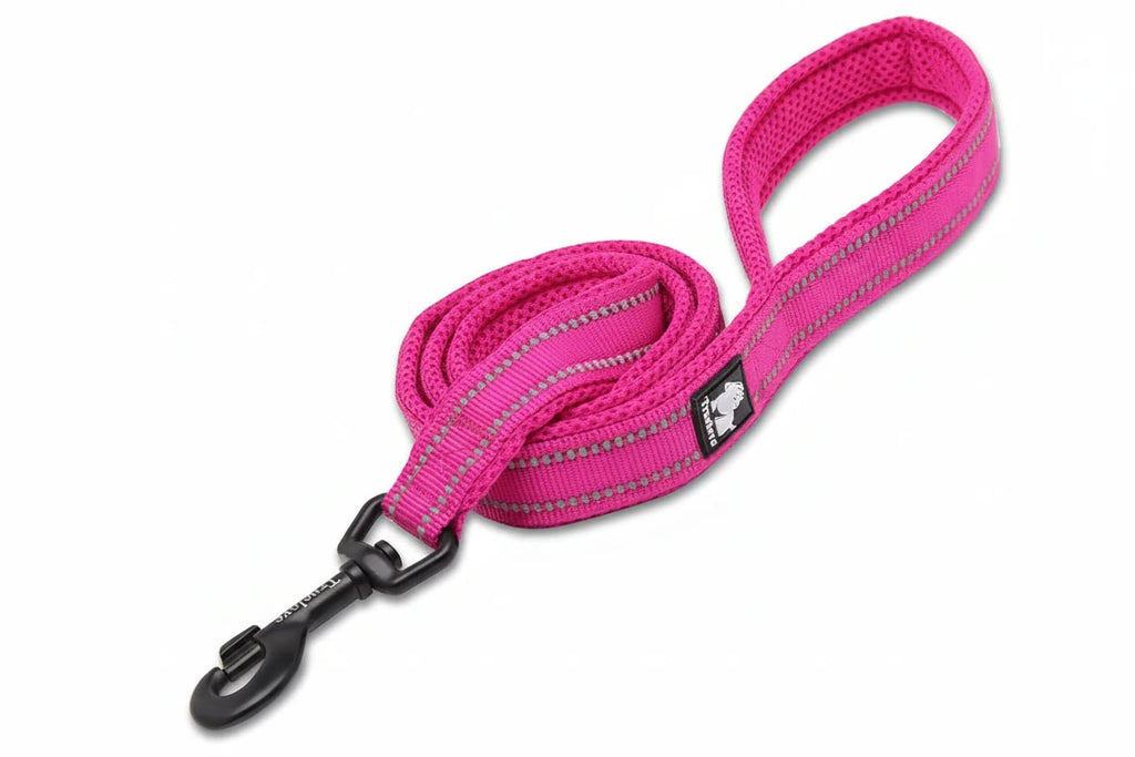 Reflective Nylon Dog Leash 110cm