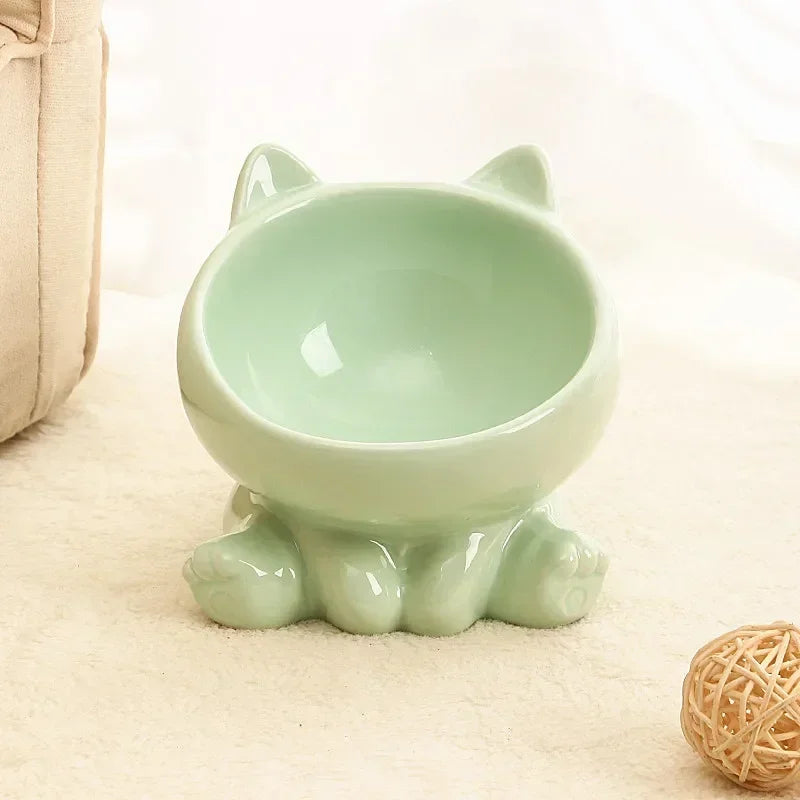 Ceramic Elevated Pet Bowl with Tilted Design