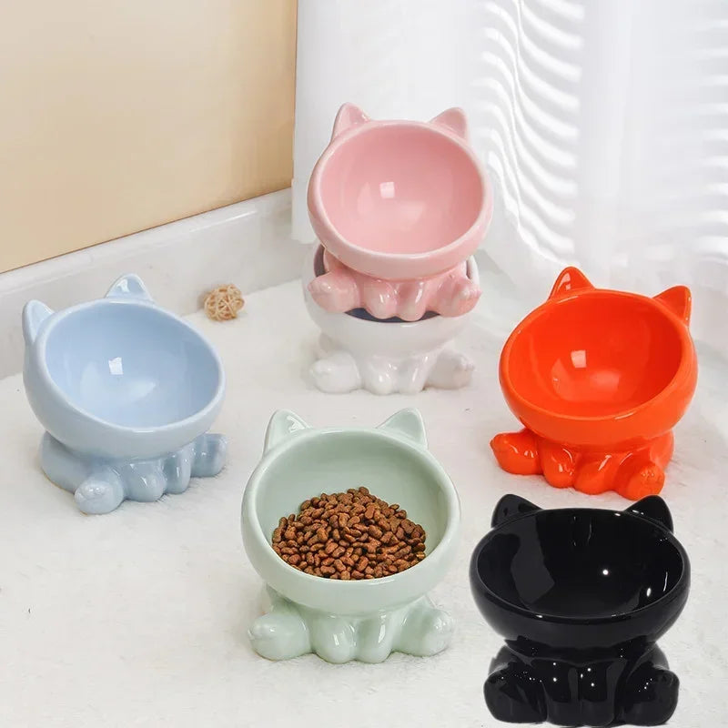 Ceramic Elevated Pet Bowl with Tilted Design
