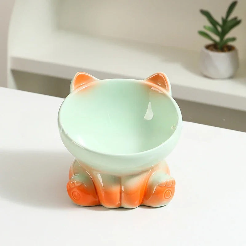 Ceramic Elevated Pet Bowl with Tilted Design