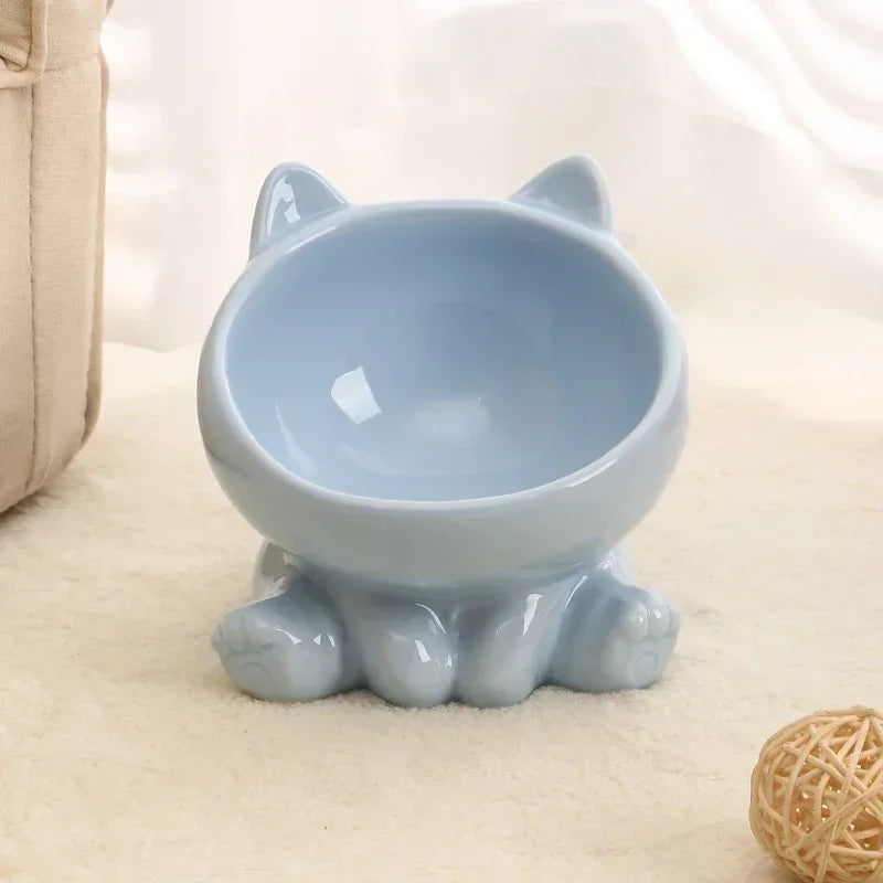 Ceramic Elevated Pet Bowl with Tilted Design