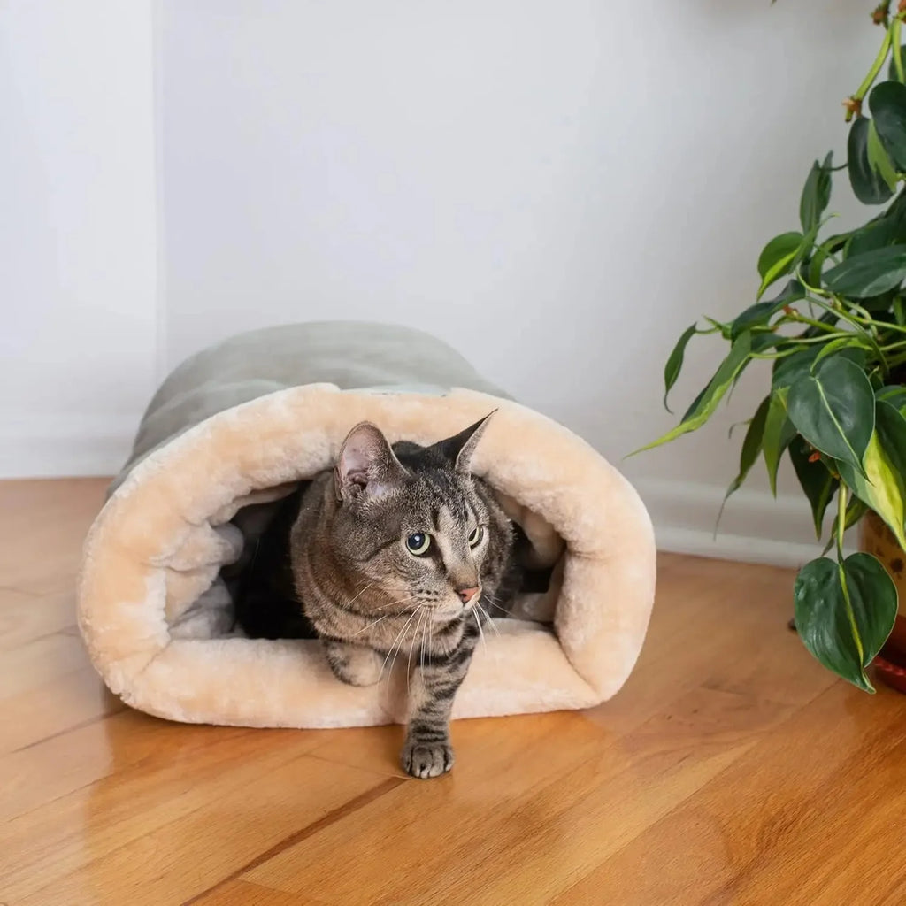 Cat Bed Basket – Cozy House for Kittens & Small Dogs