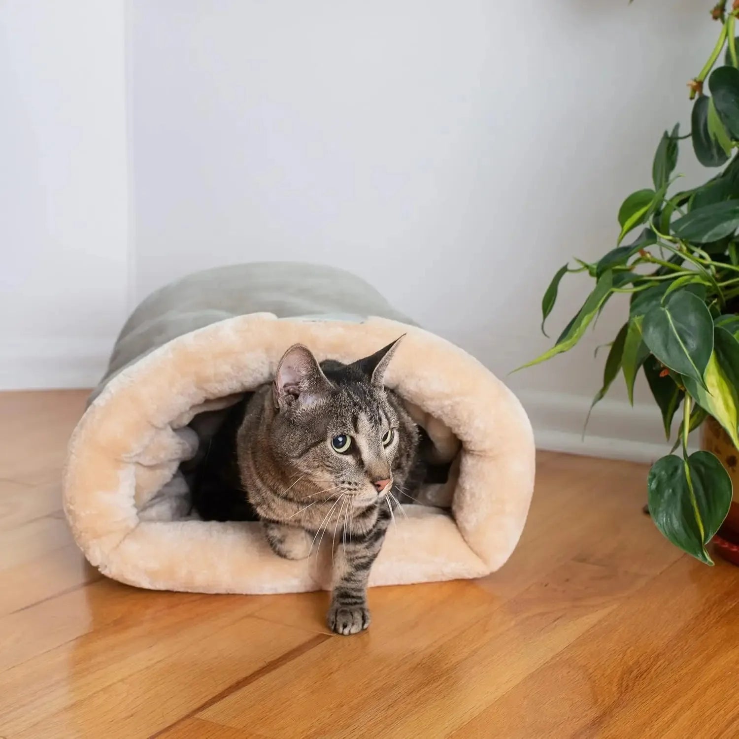 Cat Bed Basket – Cozy House for Kittens & Small Dogs