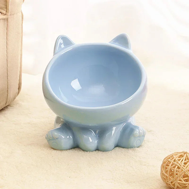 Ceramic Elevated Pet Bowl with Tilted Design