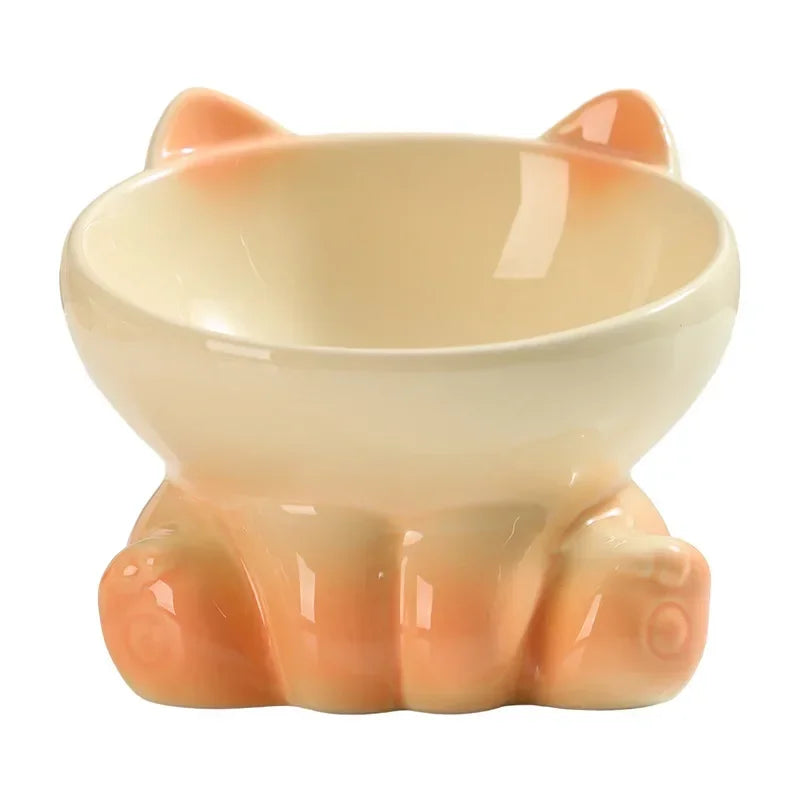 Ceramic Elevated Pet Bowl with Tilted Design
