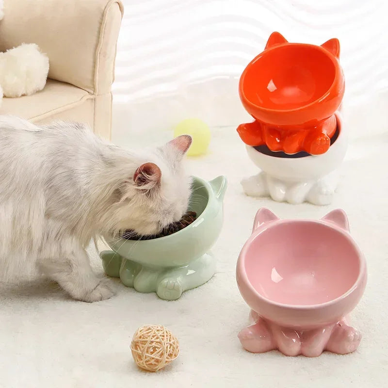 Ceramic Elevated Pet Bowl with Tilted Design