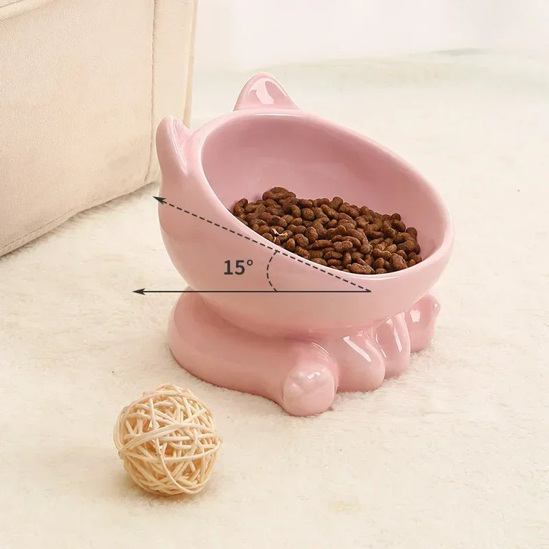 Ceramic Elevated Pet Bowl with Tilted Design