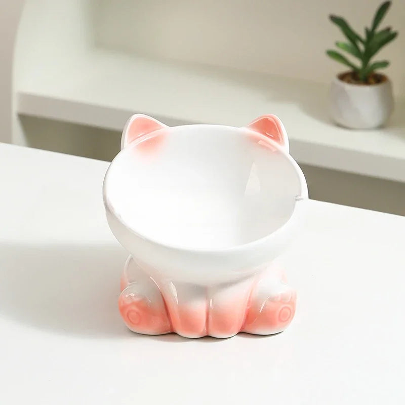 Ceramic Elevated Pet Bowl with Tilted Design