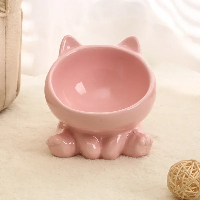 Ceramic Elevated Pet Bowl with Tilted Design