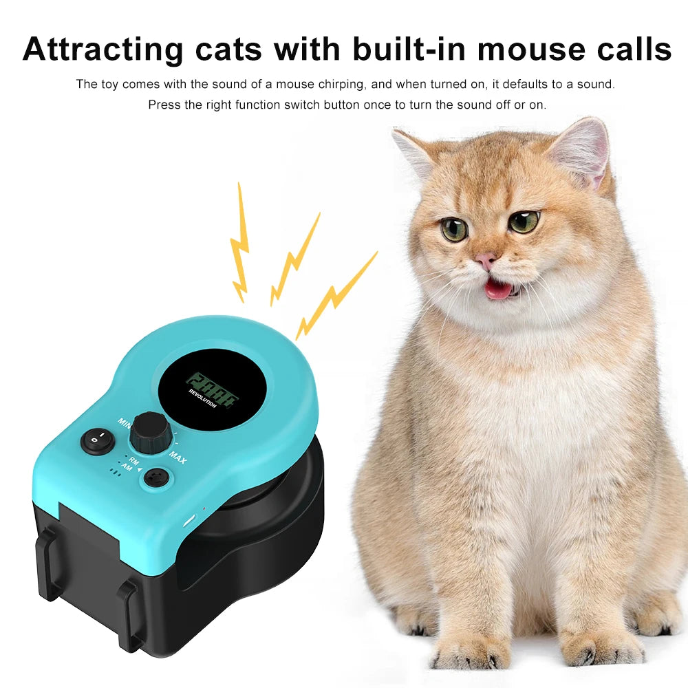 Interactive Cat Wheel with Remote