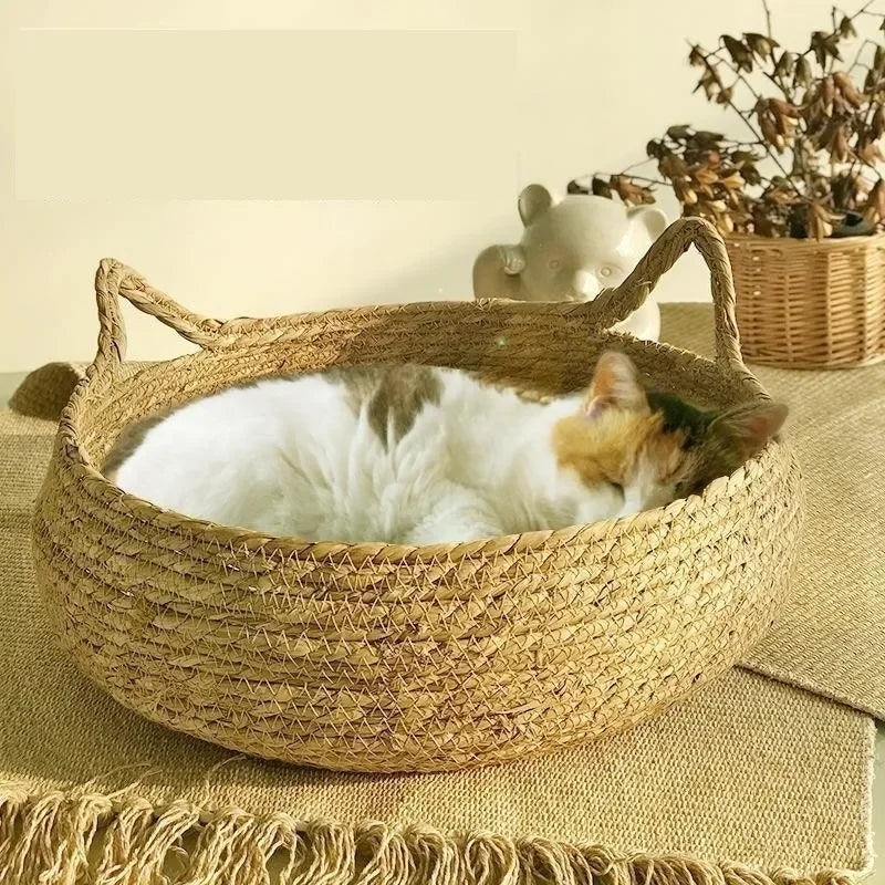 Natural Woven Cat Bed with Warm Cushion for All Seasons