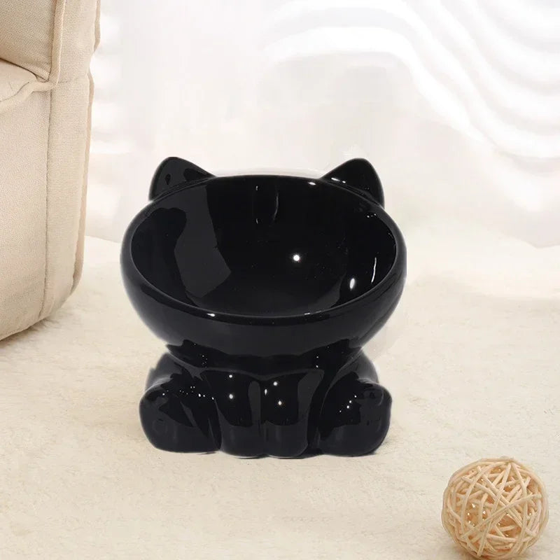 Ceramic Elevated Pet Bowl with Tilted Design