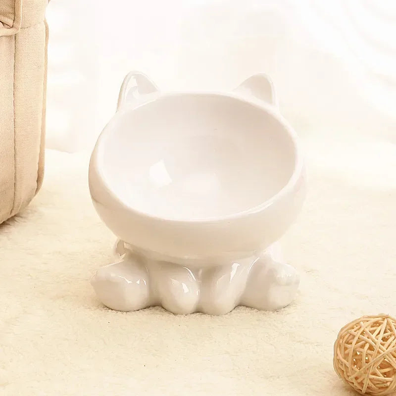 Ceramic Elevated Pet Bowl with Tilted Design