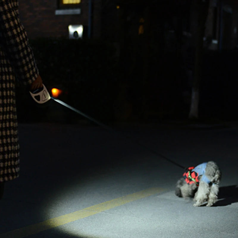 5M LED Retractable Dog Leash