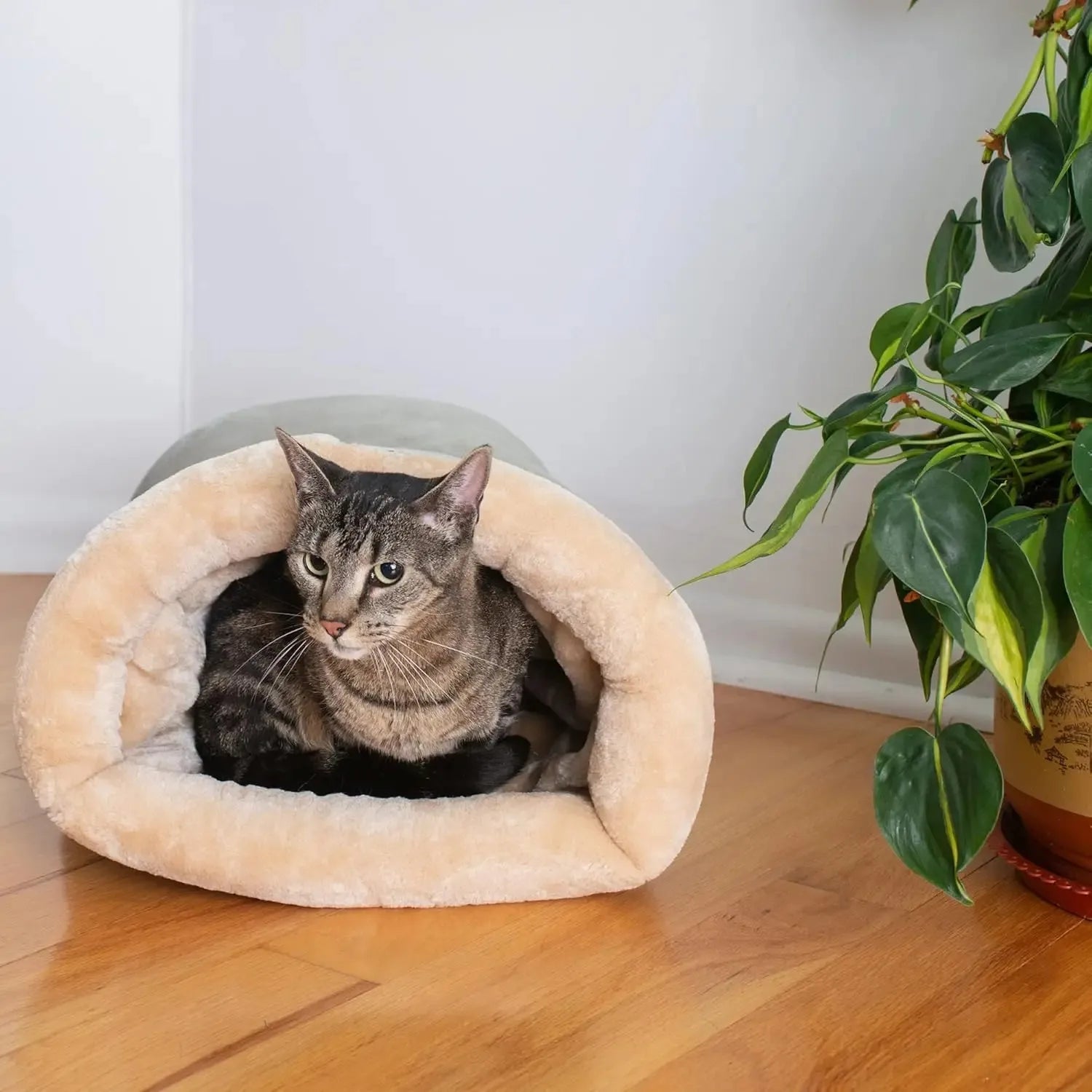 Cat Bed Basket – Cozy House for Kittens & Small Dogs