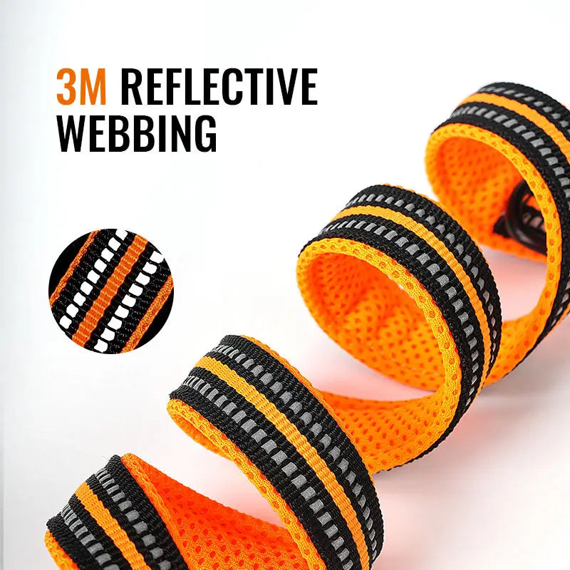 7-in-1 Multi-Function Dog Leash